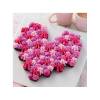 Colorant Alimentar Gel, Roz-Trandafiriu (Rose) -28gr- Wilton-Decora - Anyta Cooking