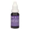 Colorant Alimentar Lichid - GRAPE VIOLET / VIOLET STRUGURE - 14 ml. - Sugarflair - Anyta Cooking
