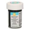 Colorant alimentar Pasta/Gel- Sky Blue -28 gr. - Wilton - Anyta Cooking