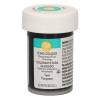 Colorant alimentar Pasta/Gel- Teal- 28 gr. - Wilton - Anyta Cooking
