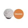 Colorant Pudra Alimentar pe baza de apa - 5 gr -Portocaliu/Orange - Dr Gusto - Anyta Cooking
