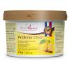 Crema / Umplutura crocantă de lamaie - Pralicrac Citron - 2kg - PatisFrance - Anyta Cooking