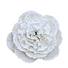 Decor comestibil - "Bujor alb mare" - 1 buc - Anyta Cooking