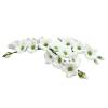   Decor comestibil - &bdquo;Ramură de clopoței albi L=120 mm&rdquo; - Anyta Cooking 