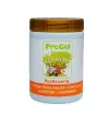 Pasta Aromatizanta Concentrata - LAMPONE (Zmeura) - 1,1 KG -PREGEL - Anyta Cooking