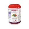 Pasta aromatizanta concentrata - FRUCTE DE PADURE - 1Kg - Saracino