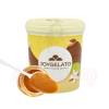 Pasta concentrata aromatizanta -JOYPASTE - LAPTE CONDENSAT 1.2 kg - Irca