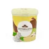 Pasta concentrata aromatizanta - JOYPASTE - MENTA BIANCA 1.2 kg - Irca - Anyta Cooking