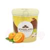 Pasta concentrata aromatizanta -JOYPASTE - PORTOCALE 1.2 kg - Irca