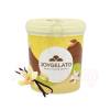 Pasta concentrata aromatizanta - JOYPASTE - VANILIE CARIBE 1.2 kg - Irca