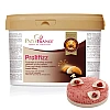 Umplutura cu praline de migdale, particule efervescente si textură crocanta - PRALIFIZZ 2 kg - Patis France