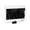 Set 2500 buc Forme de copt minibriose-&oslash; 32 x 22 h mm-Negru-Decora