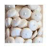 Set de Coji pentru Macarons 300 g - Perfecte pentru Deserturi Rafinate - Anyta Cooking