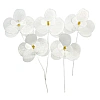 Set decor comestibil din vafa - "Orhidee Alba" - 5 buc - Anyta Cooking