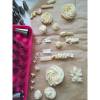 Set Profesional cu 38 de Duze-Duiuri pentru Ornat și Decorat - Anyta Cooking -Transport Gratis