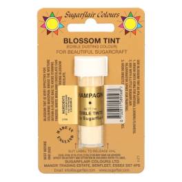 Colorant Alimentar Pudra- OYSTER / CHAMPAGNE / Auriu Sampanie  – 7 ML – Sugarflair