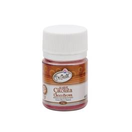 Colorant pudra,hidrosolubil (se dizolva in apa) -CIOCOLATIU - 10 gr - Dr Gusto - Anyta Cooking