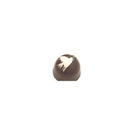 Forma pentru ciocolata- Pace -47x 32 (mm)- Porto Formas
