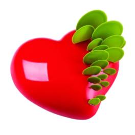 Forma Silicon Tort 3D-PASSION-17.5xH5.8cm-Pavoni