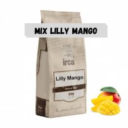 Mix pudră pentru mousse - aromă de mango - 1kg - IRCA