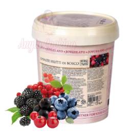 Pasta concentrata aromatizanta -JOYPASTE - FRUCTE DE PADURE , 1.2 kg - Irca