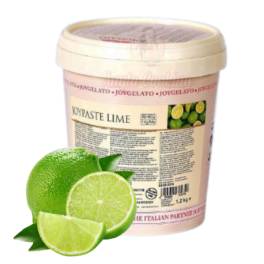 Pasta concentrata aromatizanta -JOYPASTE - LIME , 1.2 kg - Irca