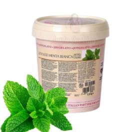 Pasta concentrata aromatizanta -JOYPASTE - MENTA BIANCA, 1.2 kg - Irca