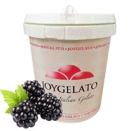 Pasta concentrata aromatizanta -JOYPASTE - MURE, 1.2 kg - Irca