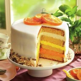 PreMix pentru Blat - Portocaliu - 3 kg - Meister