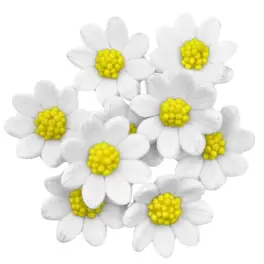  Set decor comestibil - Floricica de primăvară alb simplu" 36 buc - Anyta Cooking 