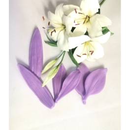 Set Veinere Modelare Floare Crin
