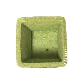 Coji de tarta patrate mici 108 buc - fistic de 30 x 30 mm - Cassibba - Anyta Cooking