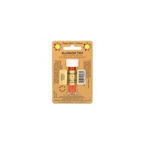Colorant Alimentar Pudra - TERRACOTTA / Rosu Teracota – 7 ML – Sugarflair - Anyta Cooking