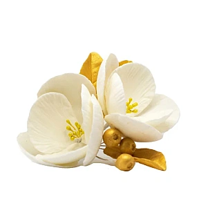 Decor comestibil - "Magnolia crem cu auriu" - 1 buc - Anyta Cooking
