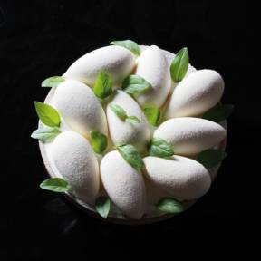 Forma Silicon 3D Monoportii -6.6x3.5xh2.6cm, 49 cavitati- Pavoni - Anyta Cooking