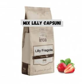 Mix pudră pentru mousse - aromă de Căpșuni - FRAISE - 1kg - IRCA - Anyta Cooking