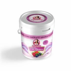 Pastă Concentrată Aromatizanta cu 40% Fruct - FRUCTE DE PĂDURE - 1 kg - Anyta Cooking