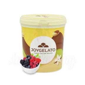 Pasta concentrata aromatizanta - JOYPASTE - FRUCTE DE PADURE 1.2 kg - Irca