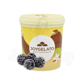 Pasta concentrata aromatizanta - JOYPASTE - MURE - Mora 1.2 kg - Irca