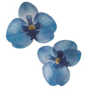 Set 10 Decoratiuni comestibile din vafa - ORHIDEE ALBASTRE - 8,5 -7,5CM - Dekora - Anyta Cooking