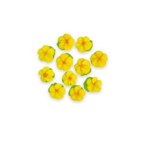  Set decor comestibil - "Vinny simplu galben"  11 buc Anyta Cooking 