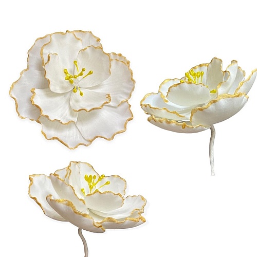  Decor comestibil - "Camelia cu aur" - Anyta Cooking 