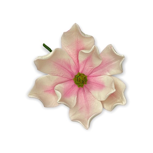  Decor comestibil - &bdquo;Magnolie roz premium&rdquo; - Anyta Cooking 