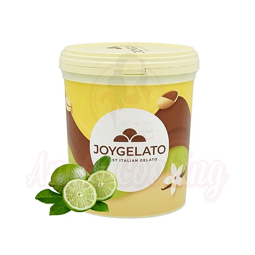 Pasta concentrata aromatizanta - JOYPASTE - LIME 1.2 kg - Irca - Anyta Cooking