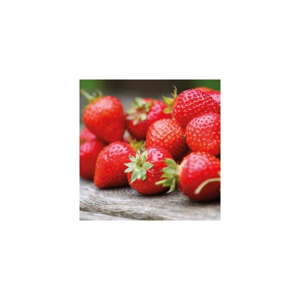 Pastă cremoasă aromatizanta CAPSUNI -120g-Funcakes - Anyta Cooking